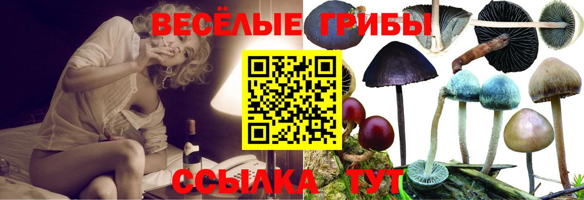 Псилоцибиновые грибы ЛСД Михайловск