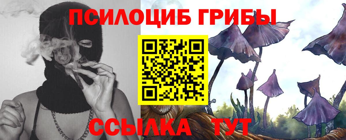 Псилоцибиновые грибы Magic Shrooms  Вход с VPN  Михайловск 